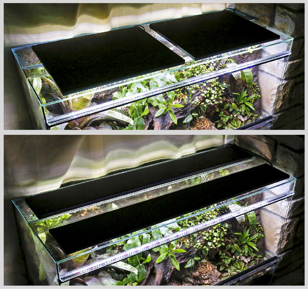 Lighting Decisions with a New Display – Spectral Designs